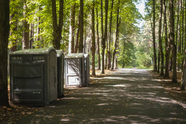 Best Affordable porta potty rental  in Punxsutawney, PA